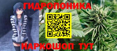 гашиш Ставрополь