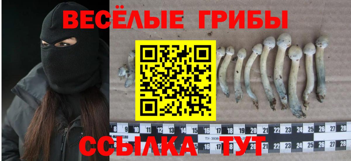 Псилоцибиновые грибы ЛСД  Вход с VPN  Галлюциногенные грибы Psilocybe  Приморско-Ахтарск 